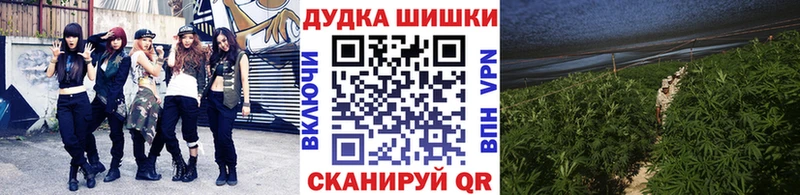 Каннабис MAZAR  Качканар 